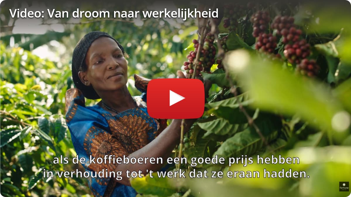 Video - Van droom naar werkelijkheid