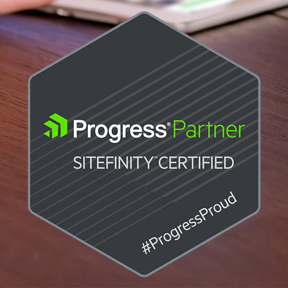 Sitefinity-A01_03